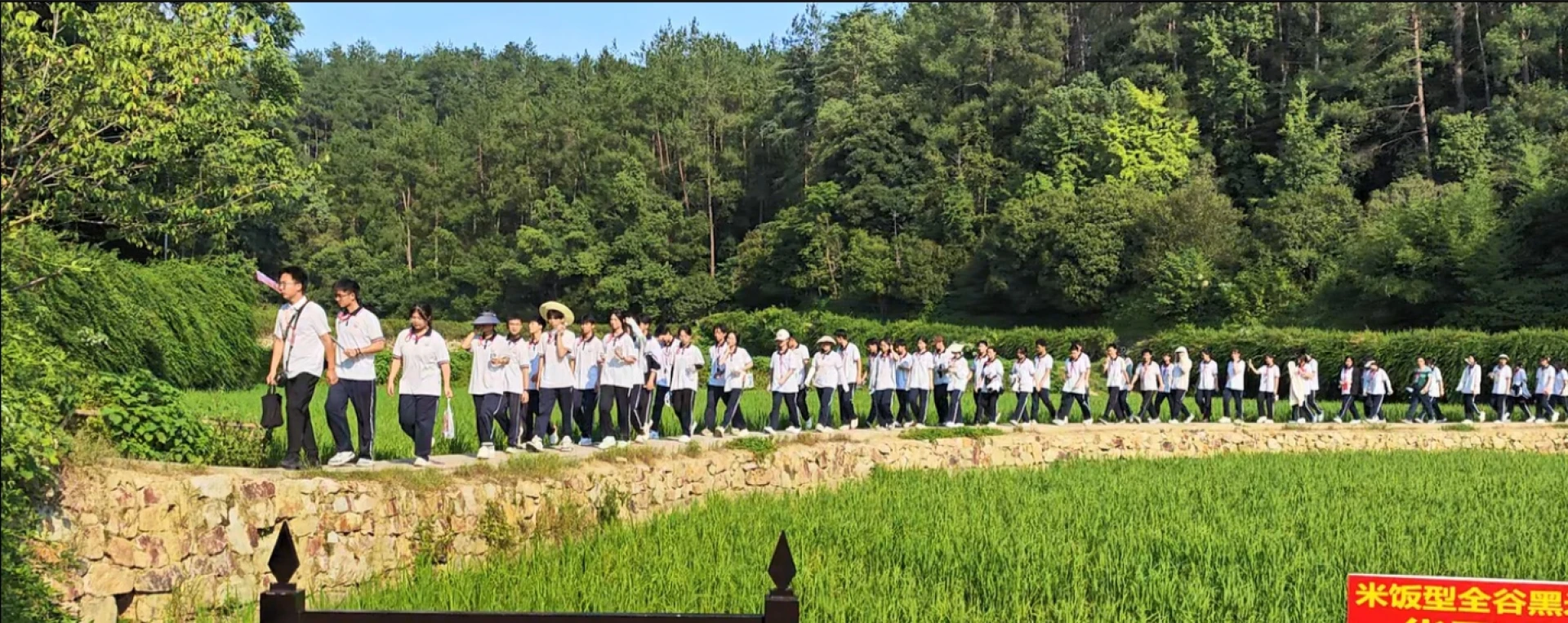 新化县第三中学